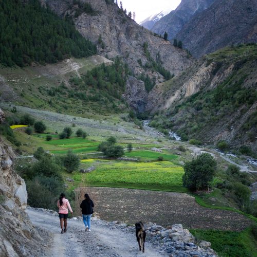 Lahaul Valley